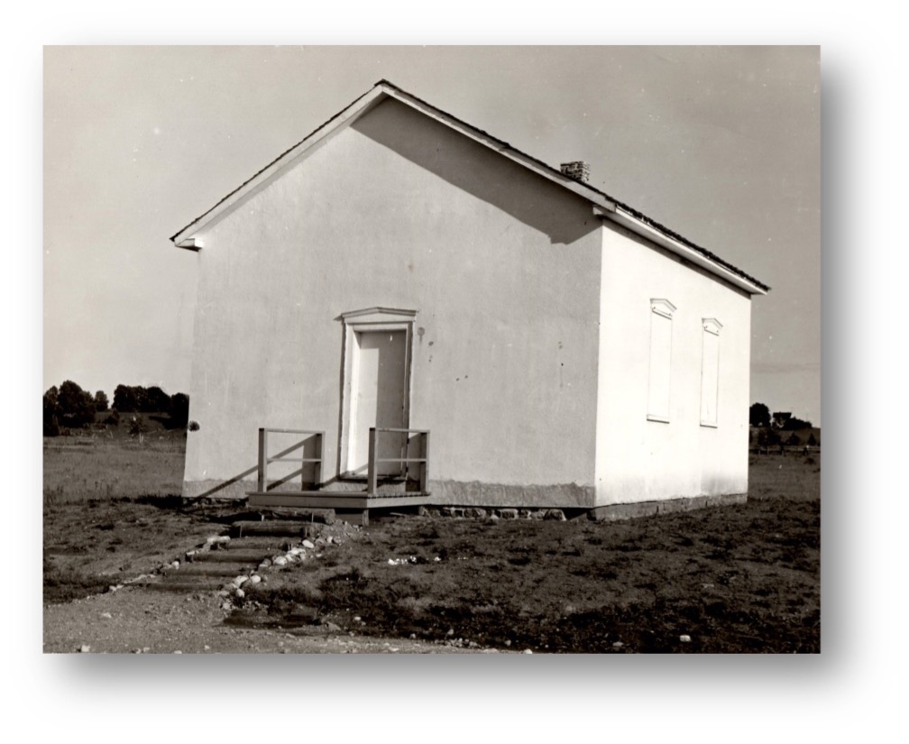 newsletter-Jan-2025-5